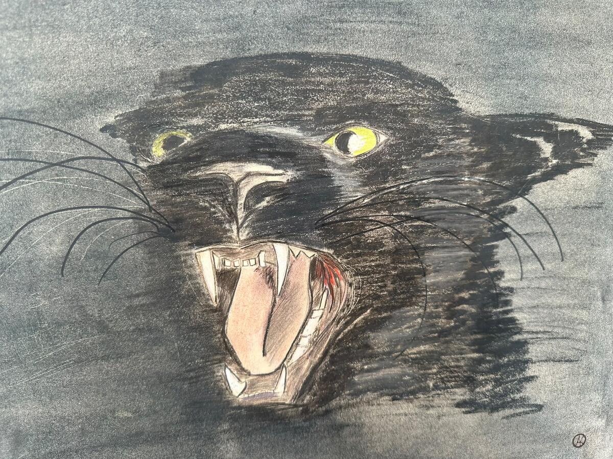 Brüllender schwarzer Panther, Kohlezeichnung